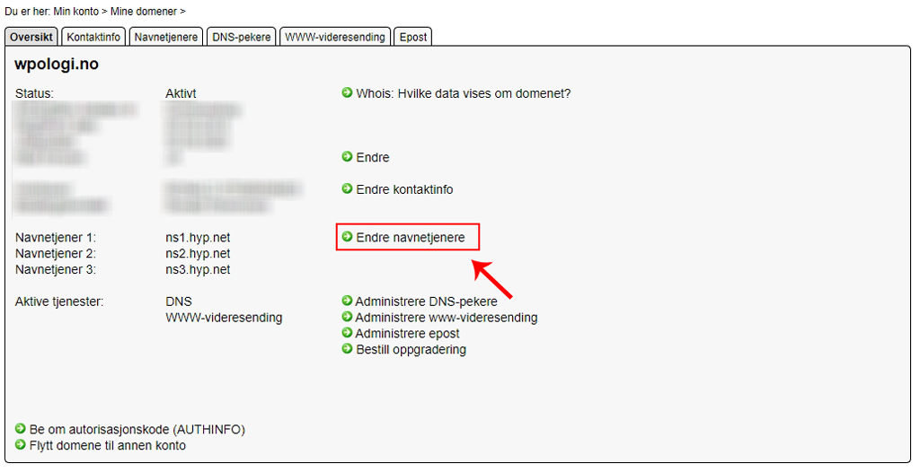 Endre navnetjenere hos Domeneshop