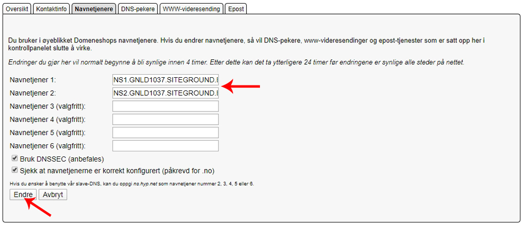 Endre navnetjenere for domenenavn hos Domeneshop